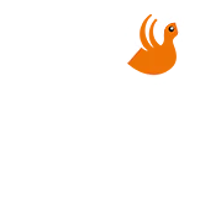 Caffè Santa Cruz - Shop Online